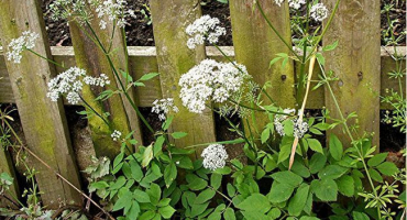 Spánek - nenechá vás hladovět a kňučet bolestí